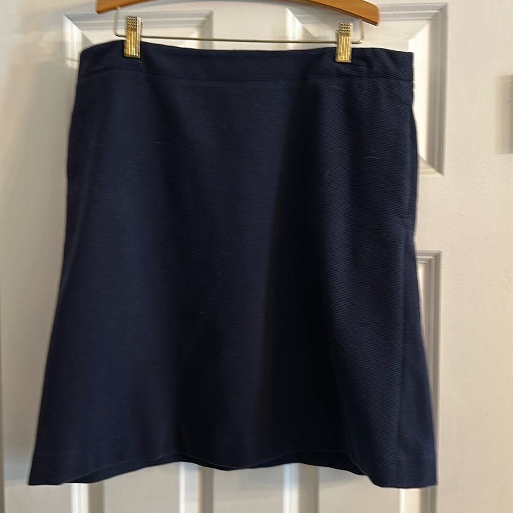 Navy blue skirt